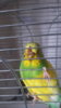 20160411_122833.jpg