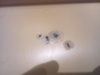 IMG_20160414_231640.jpg