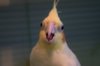 DSC_0004.JPG