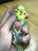 5E24EC7C-0FB3-44ED-BA53-91B31457E3E3.jpeg