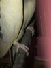 98370127-5FB4-470E-9D99-675A60BCE4BE.jpeg