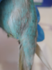 DSCN5840.png