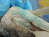 DSCN5853.JPG