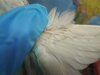 DSCN5854.JPG