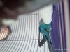 IMG_20220823_185244.jpg