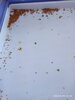 IMG_20220830_161947.jpg