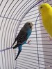 IMG_20220903_110852.jpg