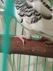 IMG_20220827_215011.jpg