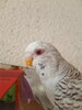 IMG20220917141337.jpg