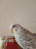 IMG20220917141311.jpg