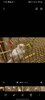 Screenshot_20220919-173553_Gallery.jpg