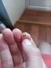 20220920_160108.jpg