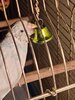 20220923_113206.jpg