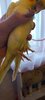 20221003_180350.jpg