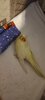 20221003_075643.jpg