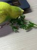 20220919_171934.jpg