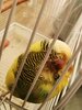 IMG_20221009_142215.jpg