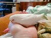 IMG_20221110_094458.jpg
