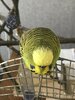 D06B5282-B4A7-4C98-9963-BB6B2DDD31CD.jpeg