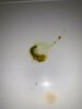 9b01345a-0587-43de-b003-374f2c910f1f.jpg