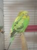 ducbdUl1c3Q.jpg