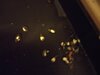 IMG_20230113_214155.jpg