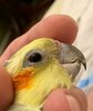 IMG-20230114-WA0008.jpg