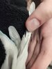 QZuH4SR9pU4.jpg