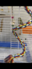 68F8E52F-E38A-4613-A9A9-103CFF6F4BD6.png