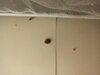 IMG_20230126_133304.jpg