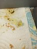 IMG_20230129_214247.jpg