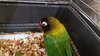 IMG_20230203_193128.jpg