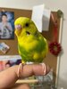 CC4FCB83-B914-4600-8620-0B0640115BD8.jpeg