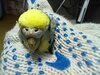 IMG-20230211-WA0002.jpg