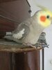 A74EA82B-71BD-4462-8B13-6DD2E7E8ABA2.jpeg