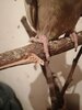 IMG_20230306_201210.jpg