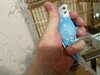 IMG20230310124946.jpg