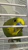 6B4C03E8-A624-4DAE-B6AE-B9C4B79501EC.jpeg