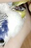 IMG_20230327_195547.jpg