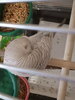 IMG20230509185822.jpg