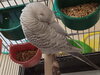 IMG20230509185840.jpg