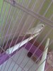 20230510_111856.jpg