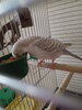 IMG20230512185142.jpg