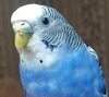 IMG_20230521_220431.jpg