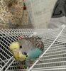 IMG_20230610_023310_446.jpg