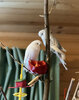 IMG_4858.jpeg