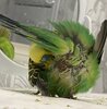 IMG_2456.jpeg