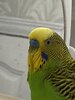 IMG_2458.jpeg