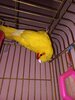 20230621_223315.jpg