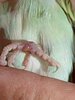 IMG_20230627_213537.jpg